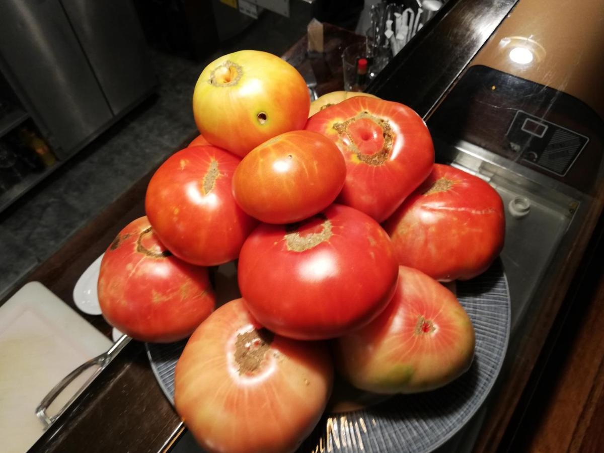 Hosteria De Rafi 프리고드코도바 외부 사진
