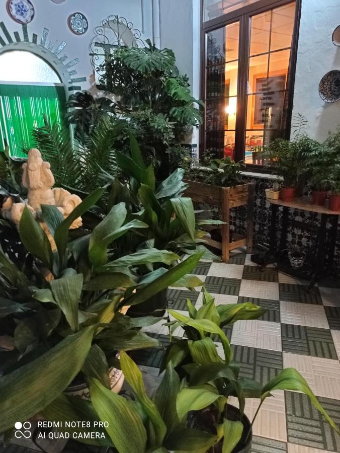 Hosteria De Rafi 프리고드코도바 외부 사진